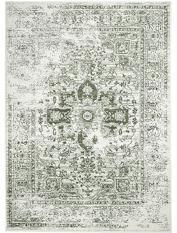 Tapis salon motif oriental vintage, ornements délicats, lyn1 vint