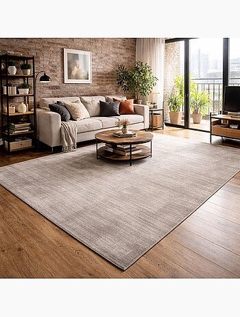 Tapis salon et chambre fait à la main en viscose motif uni NEO +
