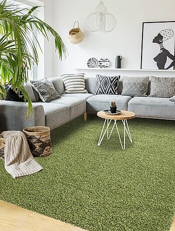 Tapis Carpetia Moderne Vert Clair - 100% Polypropylène - Ambiance Bien-être