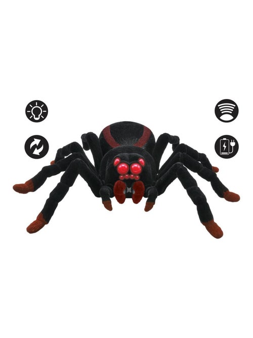 Tarentule télécommandé réaliste avec effet lumineux - Kiabi
