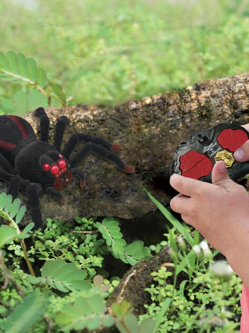 Tarentule télécommandé réaliste avec effet lumineux - Kiabi