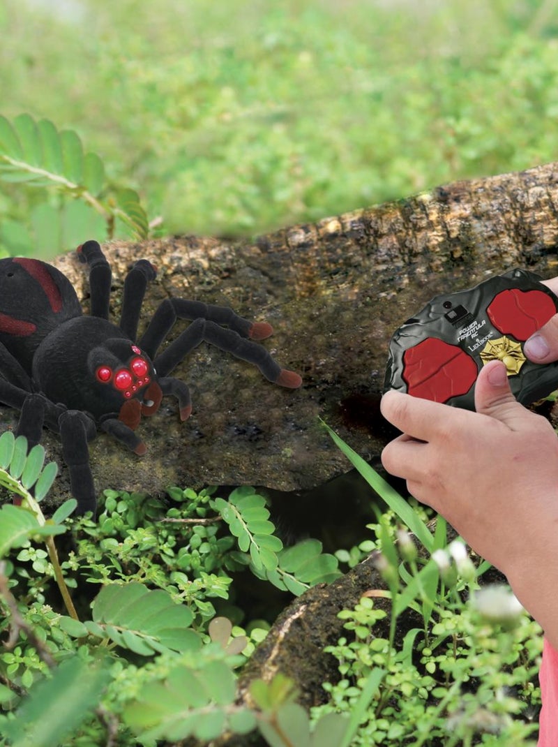 Tarentule télécommandé réaliste avec effet lumineux Noir - Kiabi