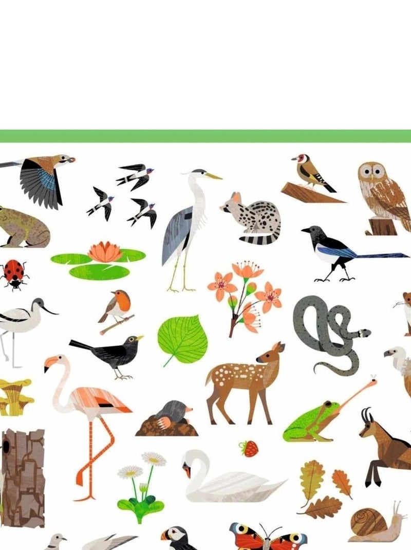Tattoos : Le monde des animaux Multicolore - Kiabi