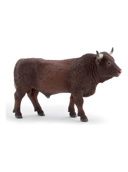 Taureau Salers - Kiabi