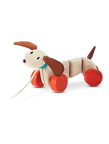 Teck le petit chien à tirer
