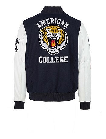 Teddy American College Redskins