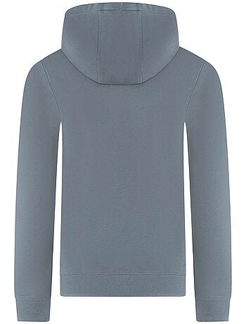 Sweat à Capuche Homme Teddy Smith