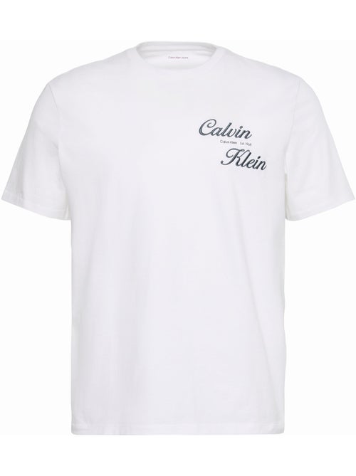 Tee Shirt à manches courtes - Calvin Klein - Kiabi