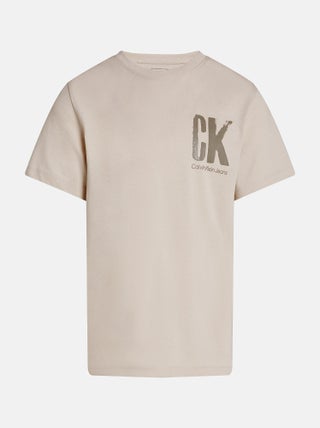 Tee Shirt Calvin Klein manches courtes