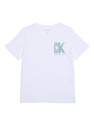Tee Shirt Calvin Klein manches courtes