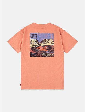 Tee Shirt Levi's Kids manches courtes