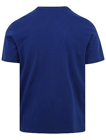 Tee Shirt Napapijri Salis SS Sum