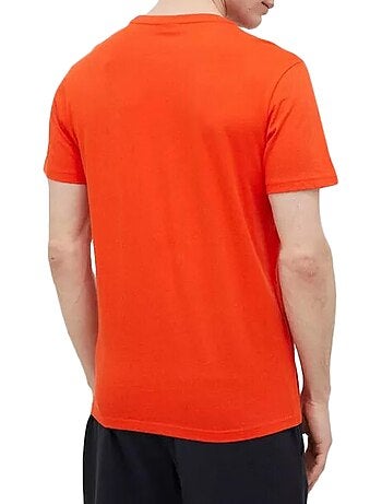 Tee Shirt Napapijri Salis SS Sum