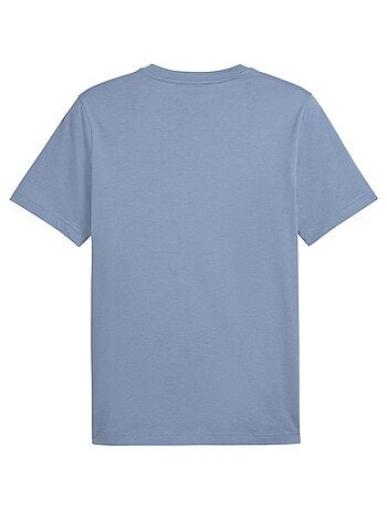 Tee Shirt Puma Ess 2 Color Small Logo