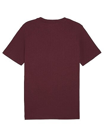 Tee Shirt Puma Ess 2 Color Small Logo