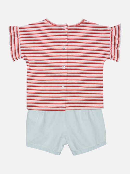 TEE SHIRT SHORT GLORIA BEBE - Kiabi