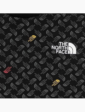 Tee Shirt The North Face Simple dome