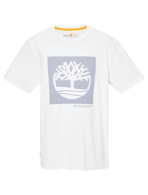 tee shirt timberland garcon