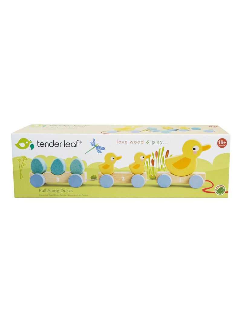 Tender Leaf - Canards à tirer Multicolore - Kiabi