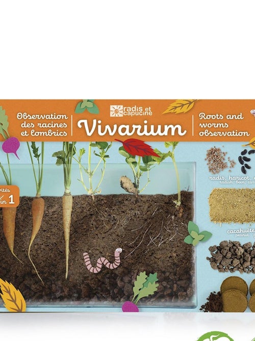 Terrarium : Observation des racines et vers de terre - Kiabi