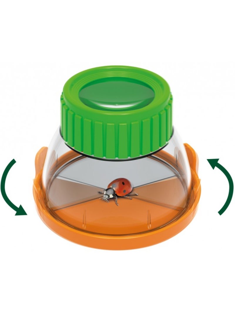 Terrarium pour enfant Vert - Kiabi