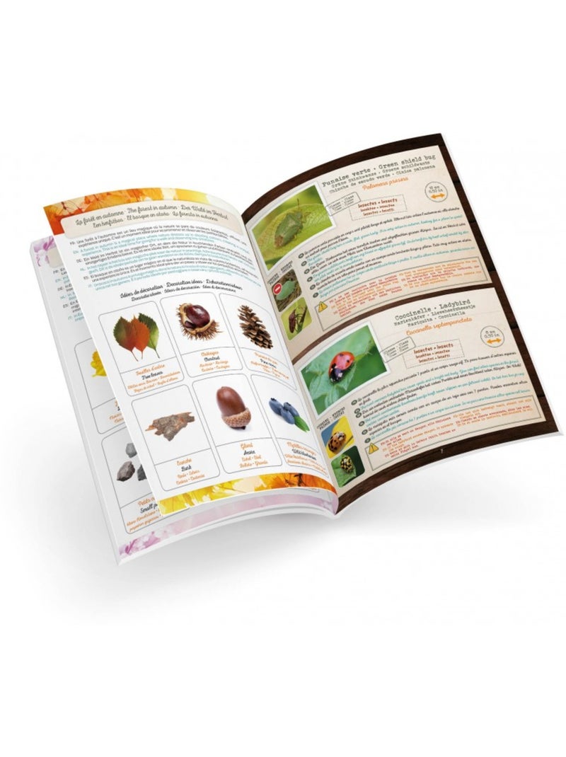 Terrarium pour enfant Vert - Kiabi