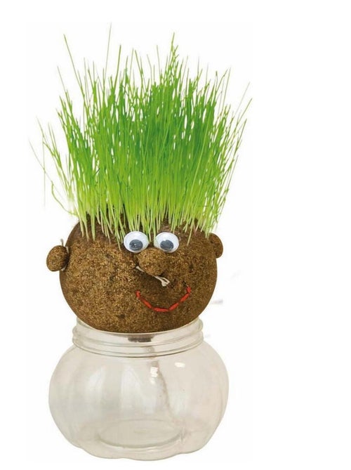 Tête à pousser avec graines de gazon : Mr Green - Kiabi