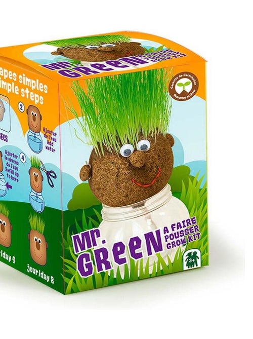 Tête à pousser avec graines de gazon : Mr Green - Kiabi