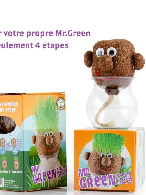 Tête à pousser avec graines de gazon : Mr Green - Kiabi