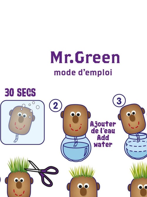 Tête à pousser avec graines de gazon : Mr Green - Kiabi