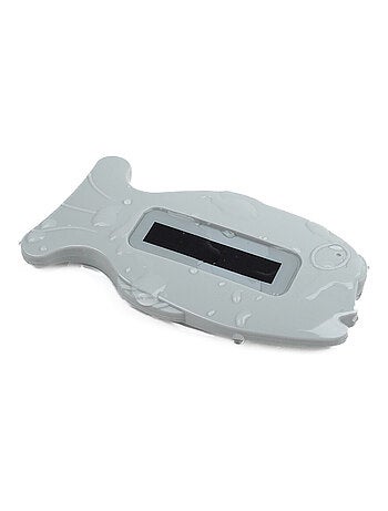 Thermomètre