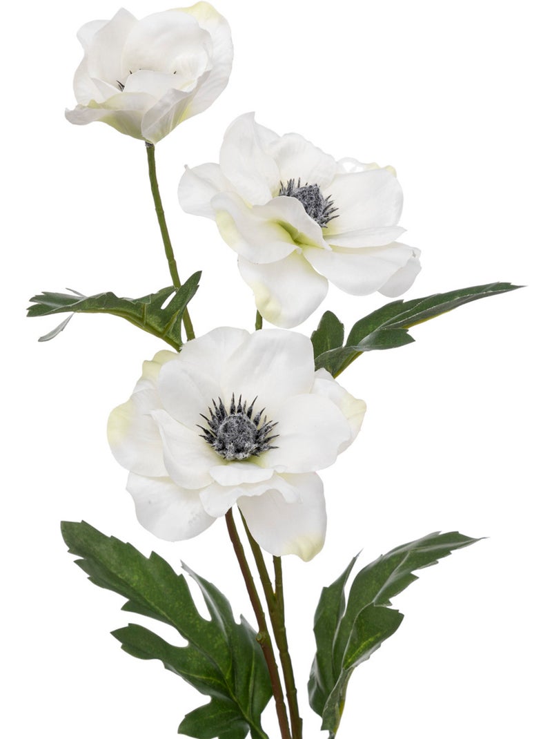 Tige d'anémone artificielle ANEMONE Blanc - Kiabi