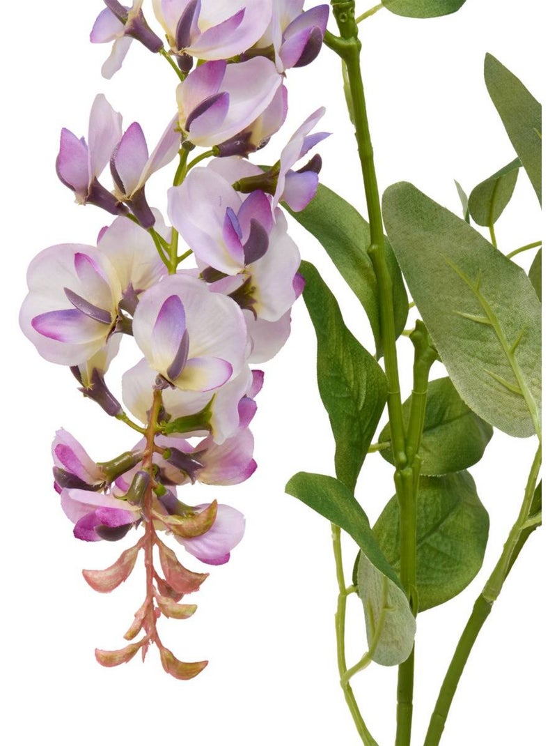 Tige de glycine artificielle h 95 cm phoebe Violet - Kiabi