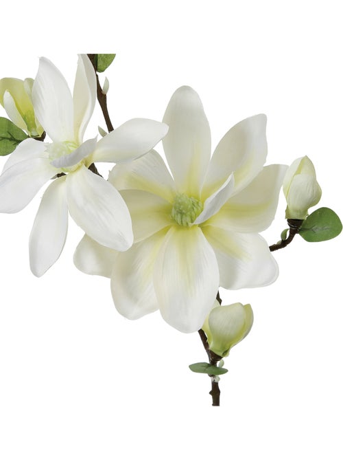 Tige de magnolia artificiel - Kiabi