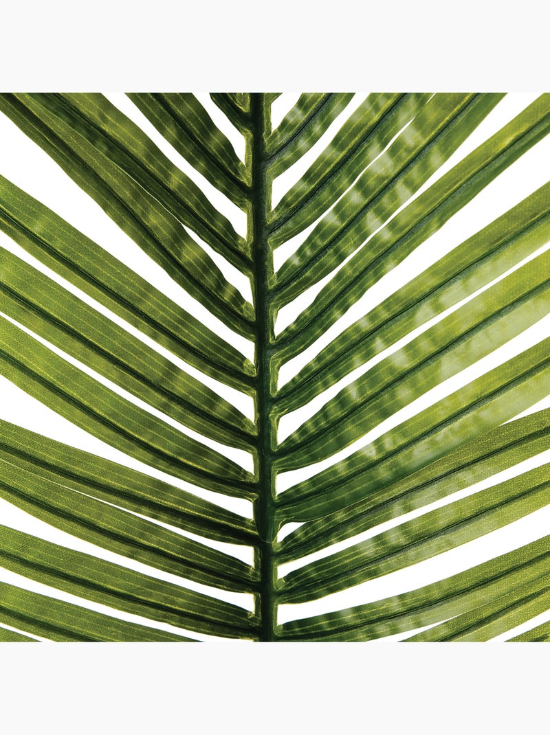 Tige de palmier artificiel Vert - Kiabi