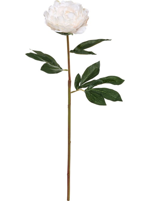 Tige de pivoine artificielle - Kiabi Tige de pivoine artificielle - Kiabi