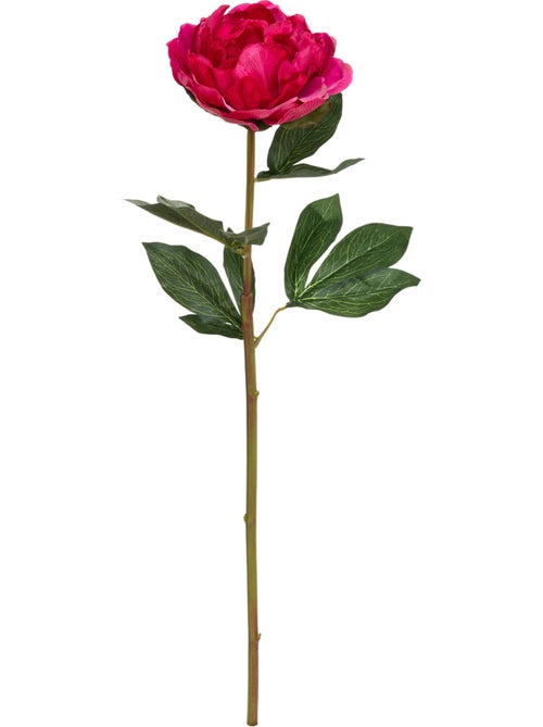 Tige de pivoine artificielle - Kiabi Tige de pivoine artificielle - Kiabi