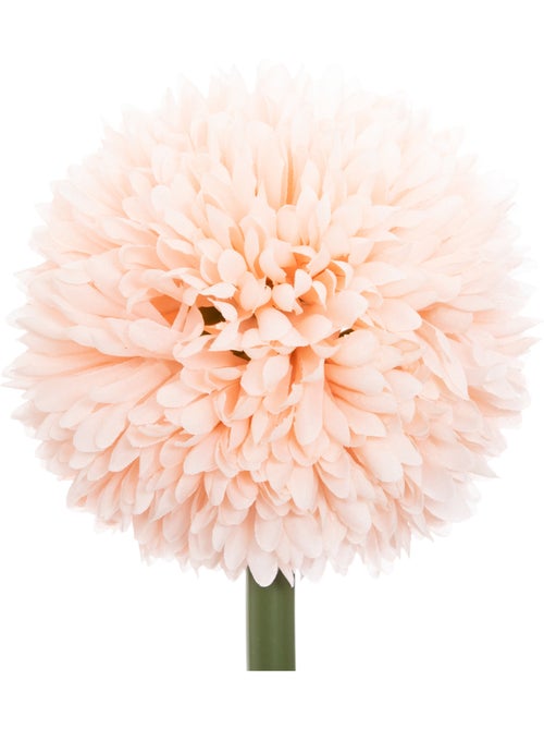 Tige de pompons artificiels - Kiabi