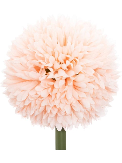 Tige de pompons artificiels - Kiabi Tige de pompons artificiels - Kiabi