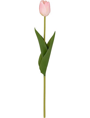 Tige de tulipe artificielle MARTINE