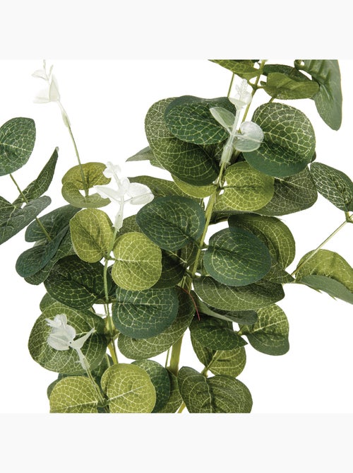 Tige d'eucalyptus artificiel - Kiabi