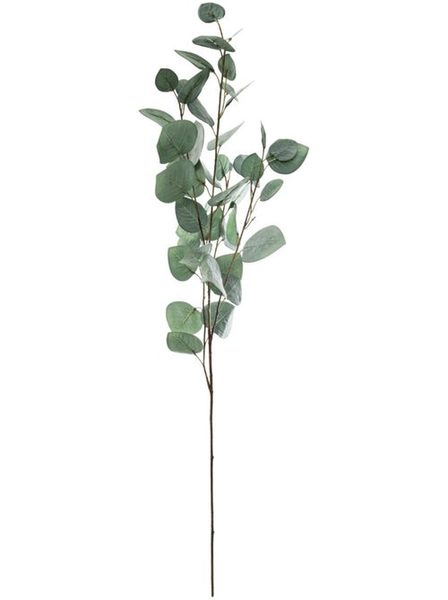 Tige d'eucalyptus artificielle euca - Kiabi