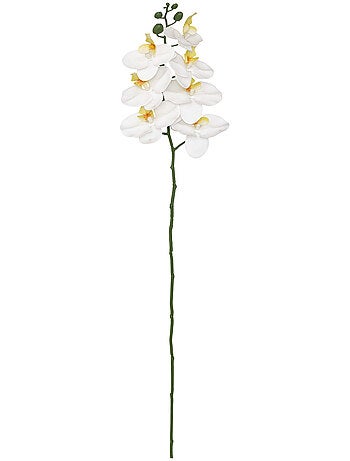 Tige d'orchidée artificielle GISELE