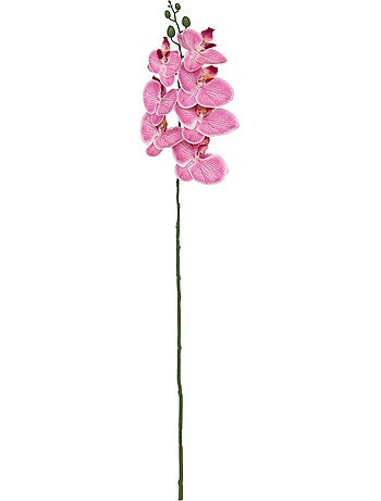Tige d'orchidée artificielle GISELE