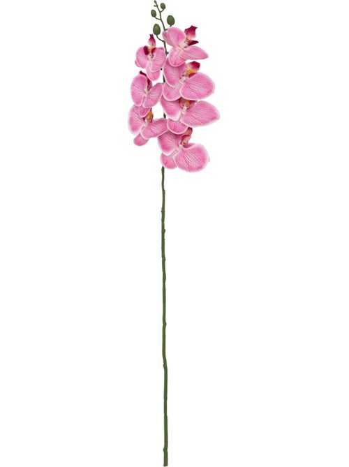 Tige d'orchidée artificielle GISELE - Kiabi