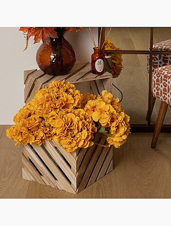 Tige hortensia JAMES