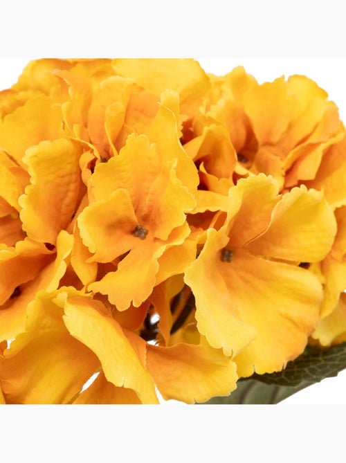 Tige hortensia JAMES - Kiabi