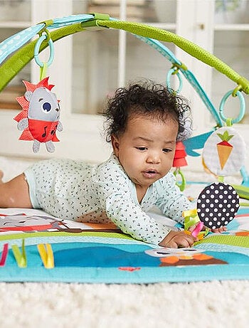 Tiny LoveTapis d'Eveil Bébé Musical avec Arches Ajustables dès la Naissance