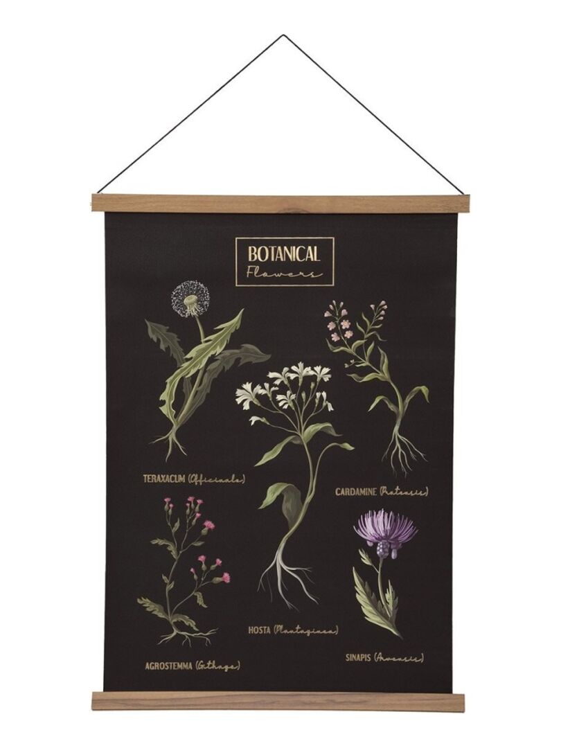 Toile à suspendre Botanical Flowers 50x70 cm Noir - Kiabi