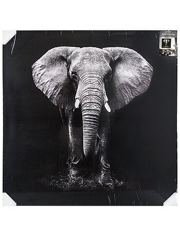 Toile imprimée éléphant ANIMAUX